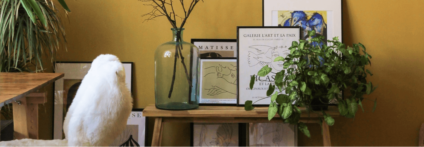 Mask - a timber table and bench with Matisse paintings and plants