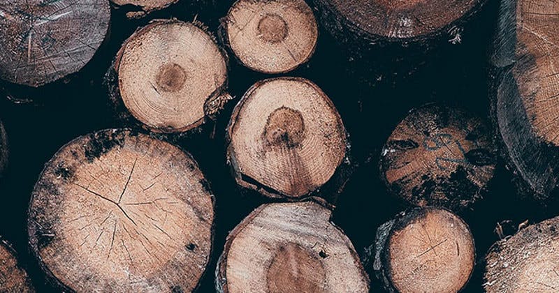 timber-types-blog-banner