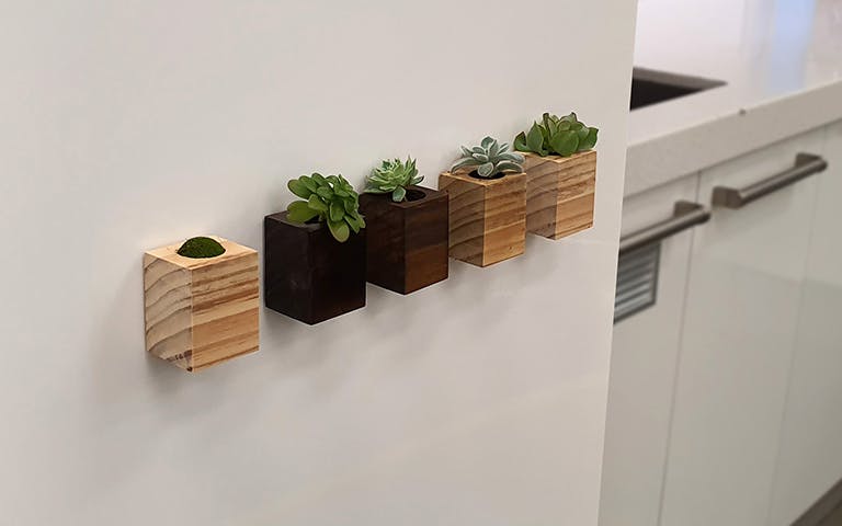 magnetic plant project