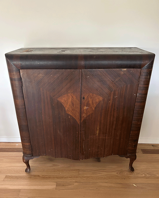 Upcycled cabinet using Feast Watson Prooftint in Black Japan