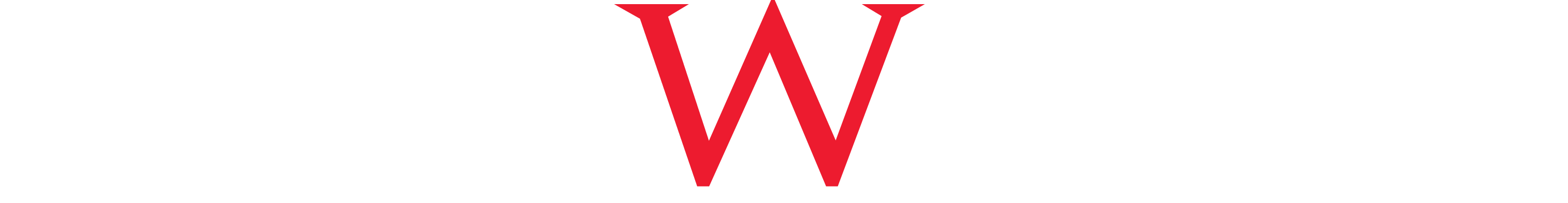 page footer logo