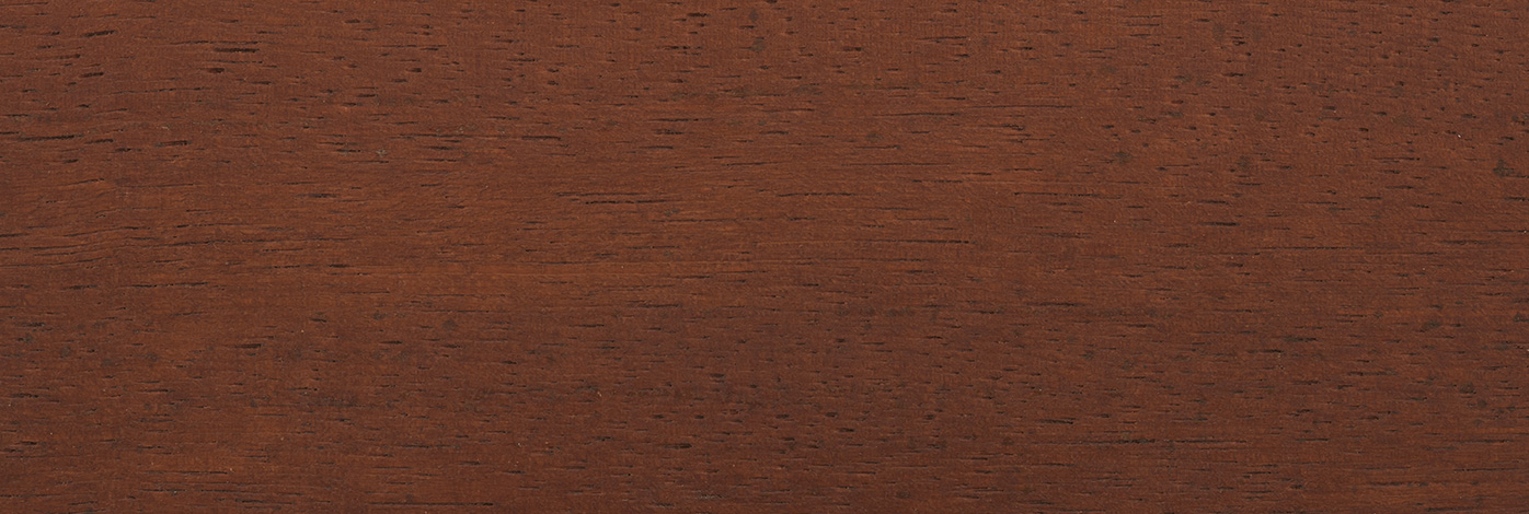 European Oak